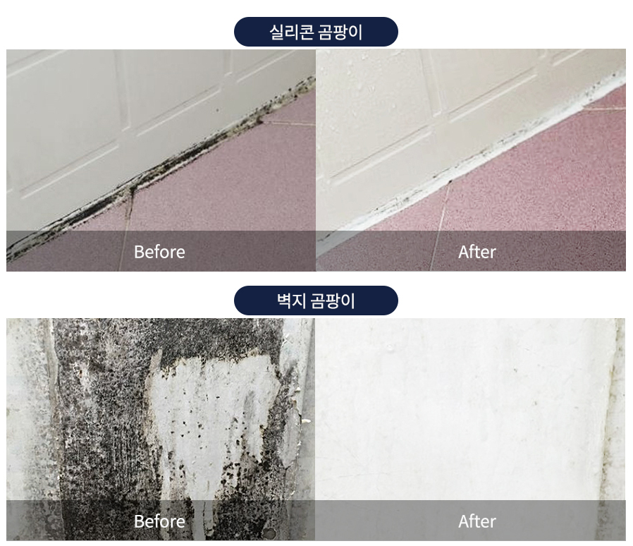 곰팡이제거제7
