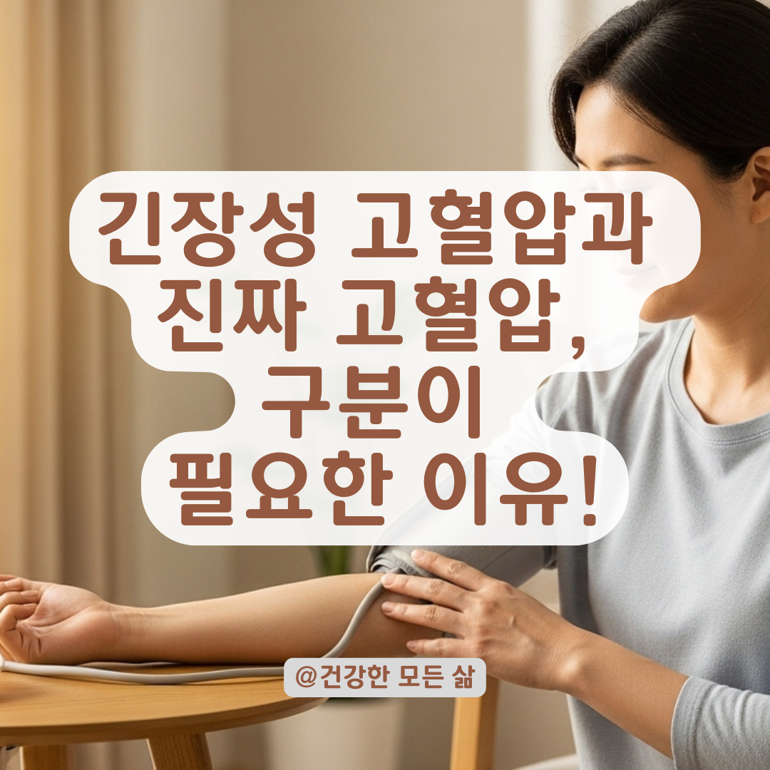 긴장성 고혈압과 진짜 고혈압, 헷갈리지 않게 구분하는 핵심 구분법 정리.