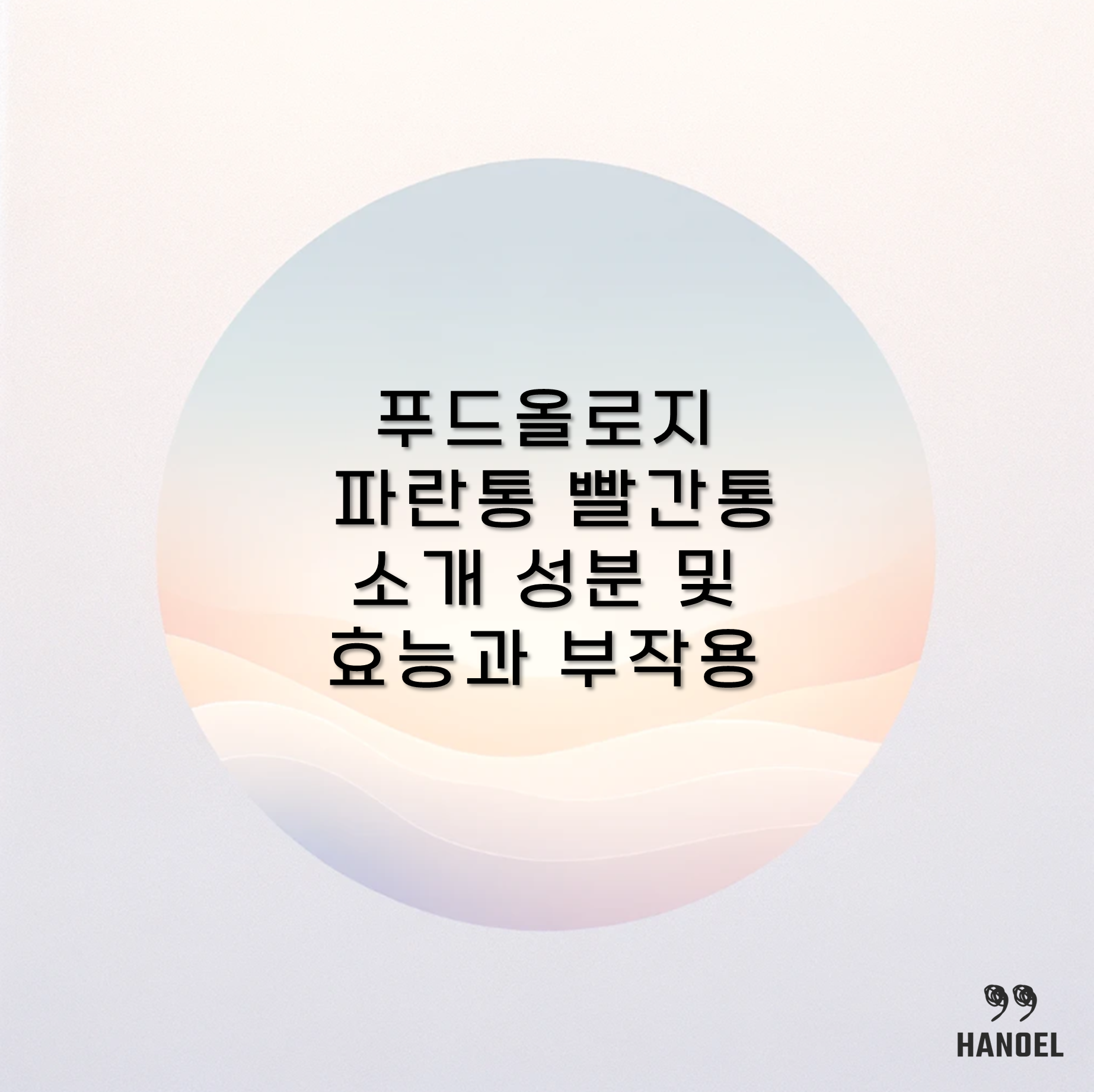 푸드올로지 파란통 빨간통 소개 성분 및 효능과 부작용