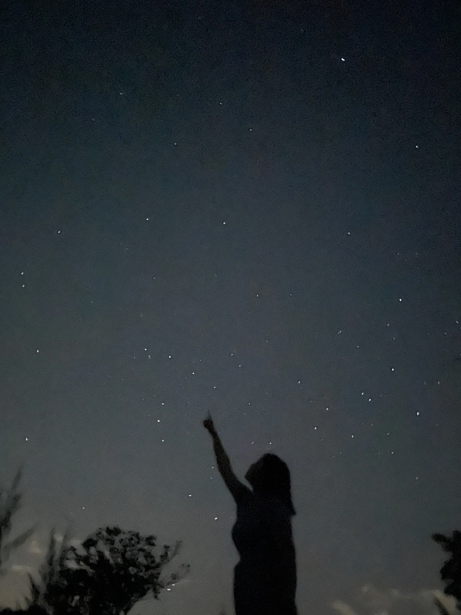 괌 셀프 별빛투어