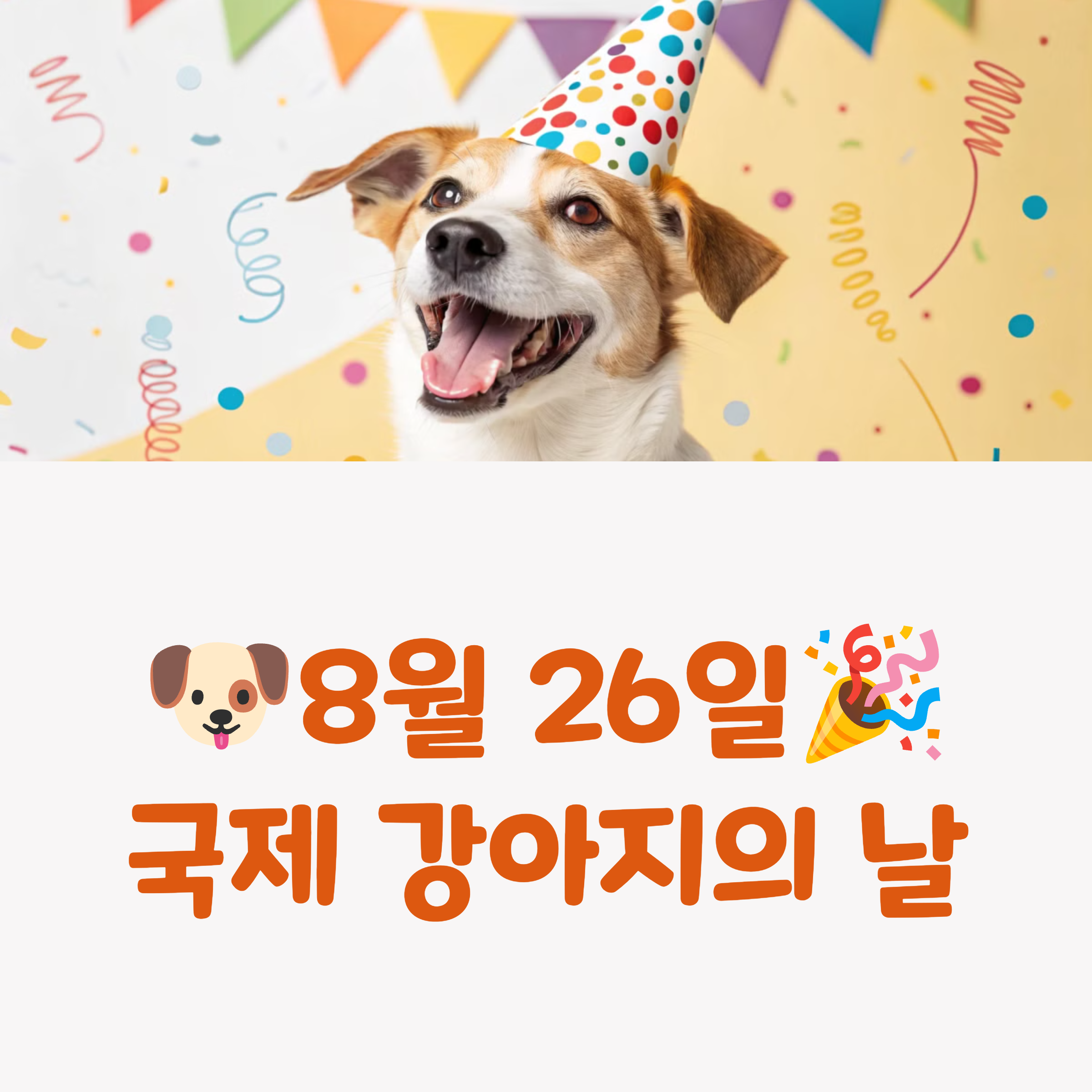 국제강아지날 특별 간식! 우리 댕댕이 행복하게 만들어줄 추천 간식
