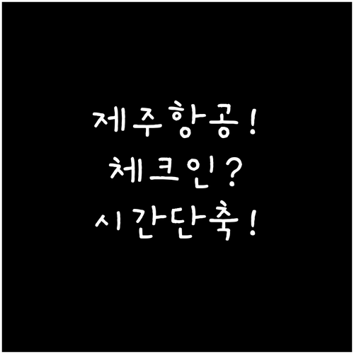 제주항공 온라인 체크인 시간과 방법 ..