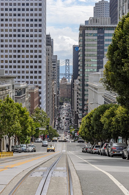 지금 떠나기 딱! 미국 서부 로드트립 대서사시