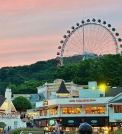 2024 에버랜드 은행나무숲산책 신청