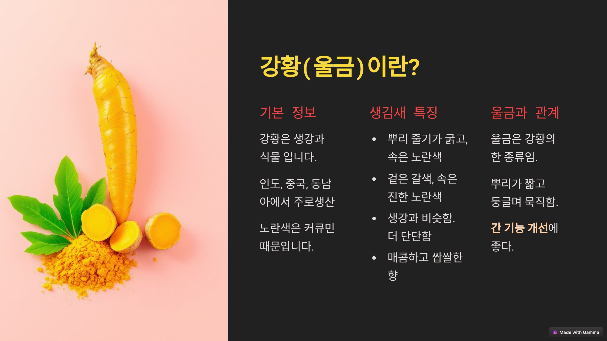 강황의 효능