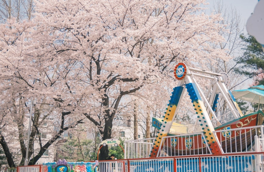 서울어린이대공원