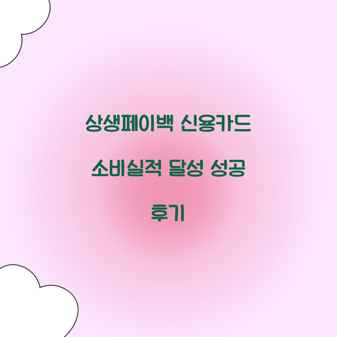 상생페이백 신용카드 소비실적 달성 성공 후기