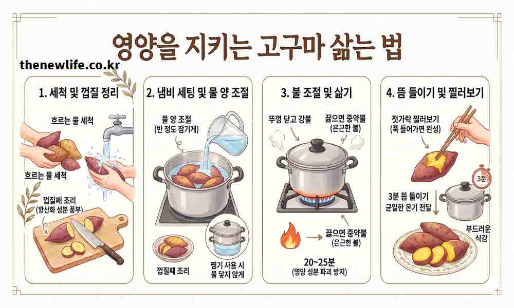 고구마 삶는 법