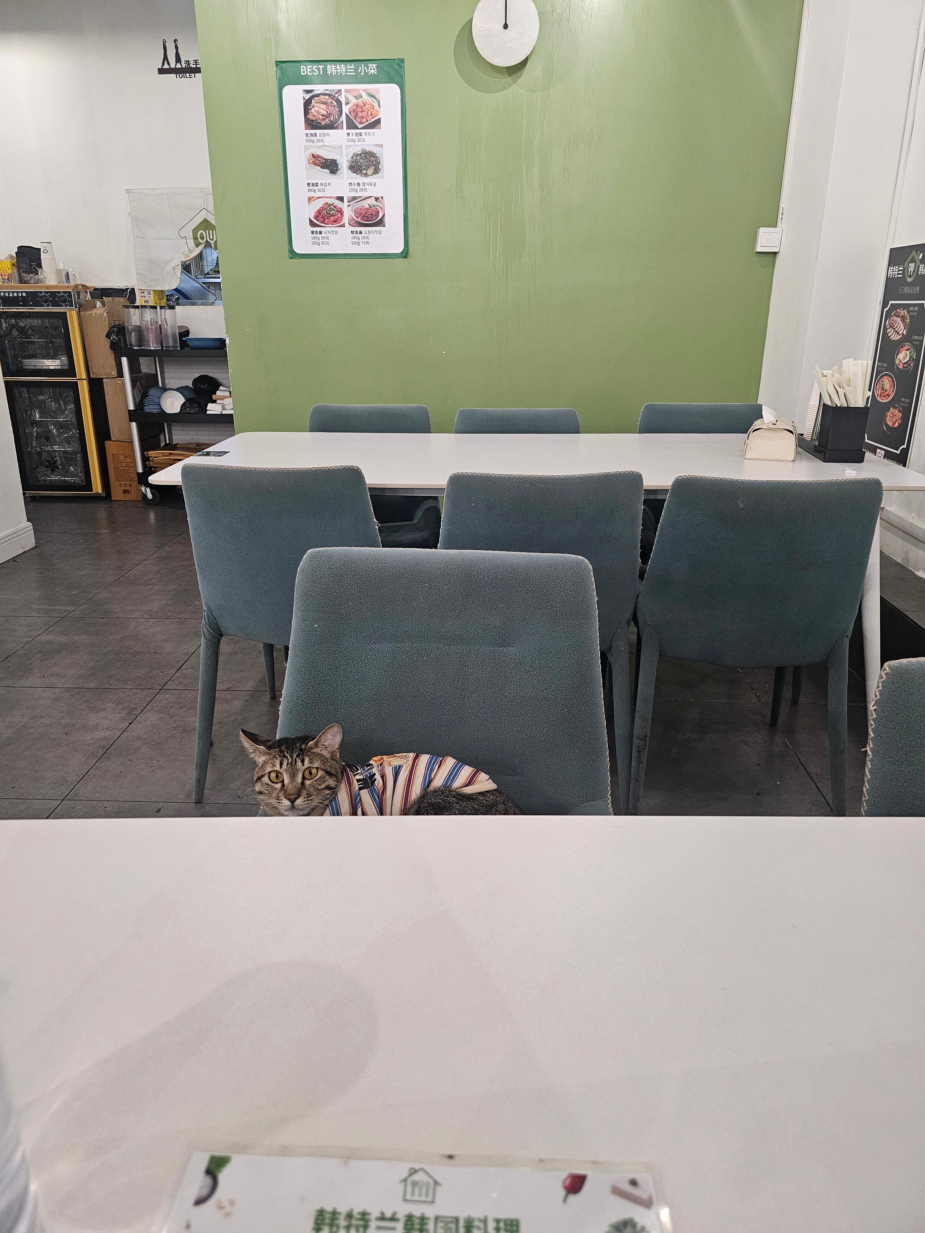 웬징루 한국식당 데이지 홈트랑