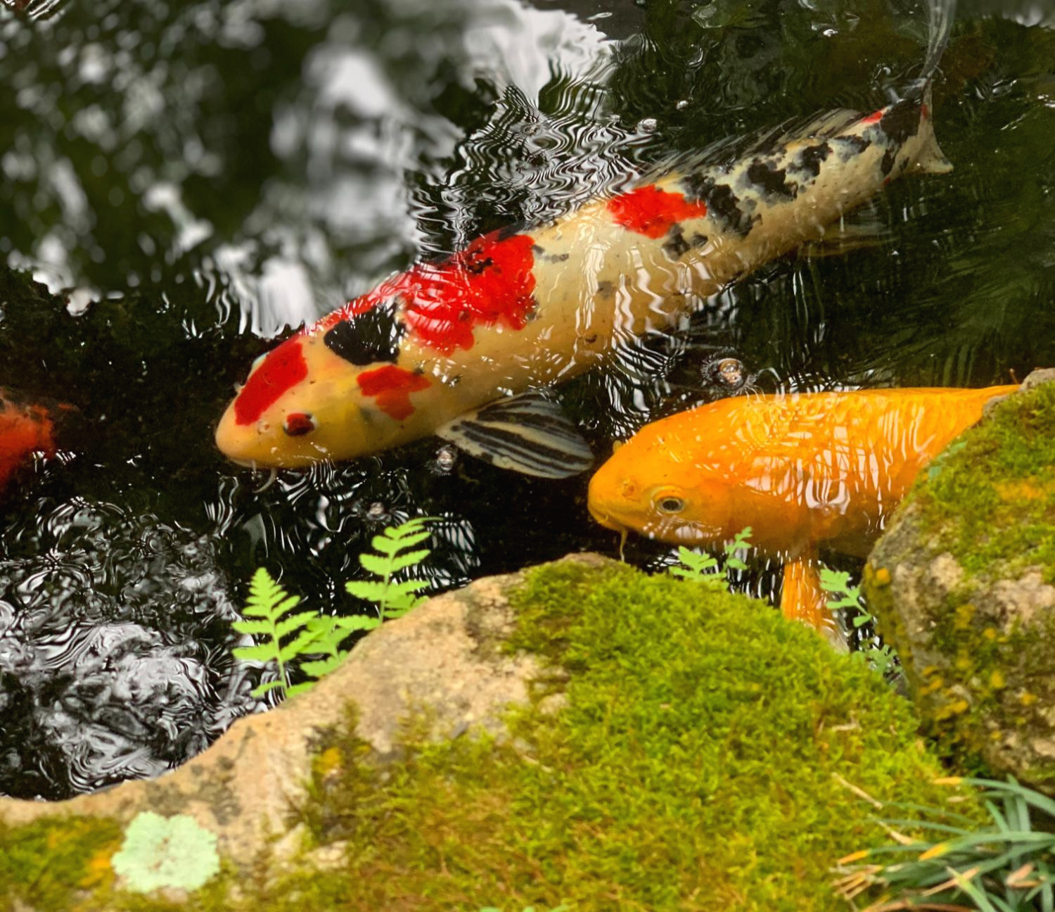 돈이들어오는그림3