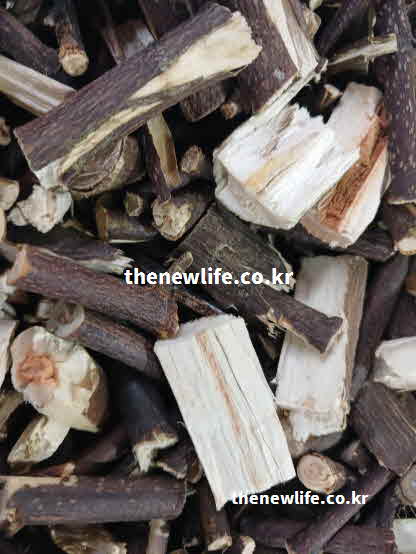 간 좋은 음식 약초 헛개나무