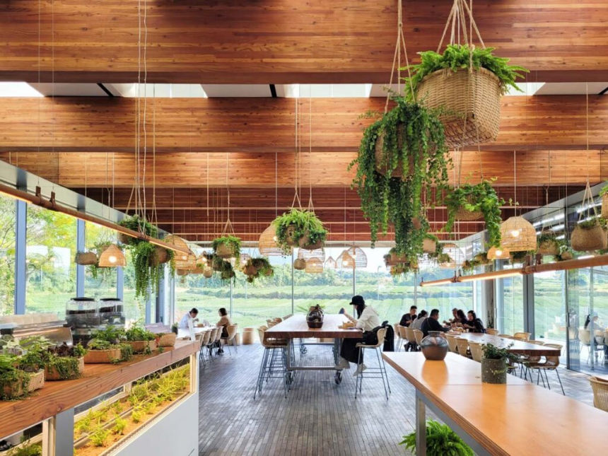 3월에 가볼 만한 국내 여행지 BEST 7 (봄꽃 명소 포함)