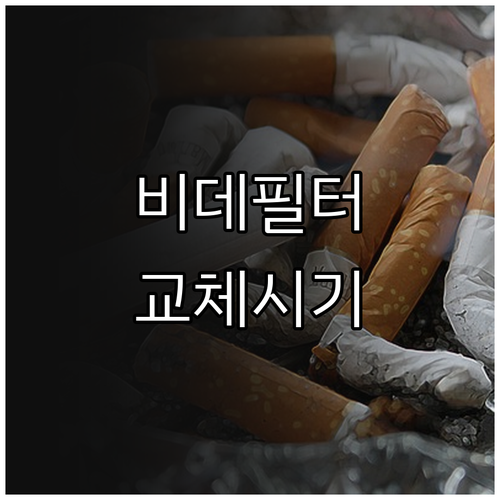비데 필터 교체 주기, 놓치면 큰일!..