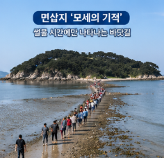 삽시도 배편은 어떻게 이용할까요1