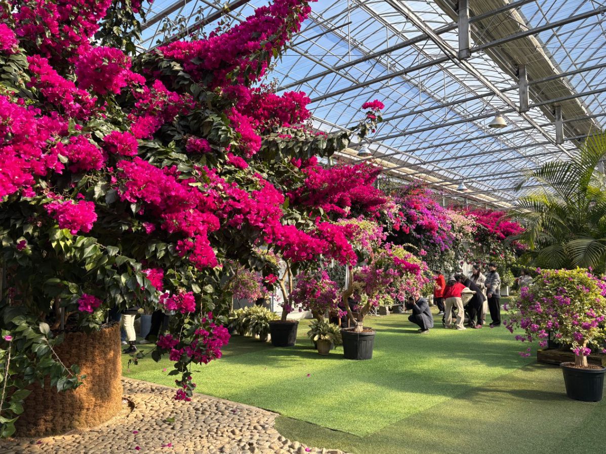 통영동백커피식물원