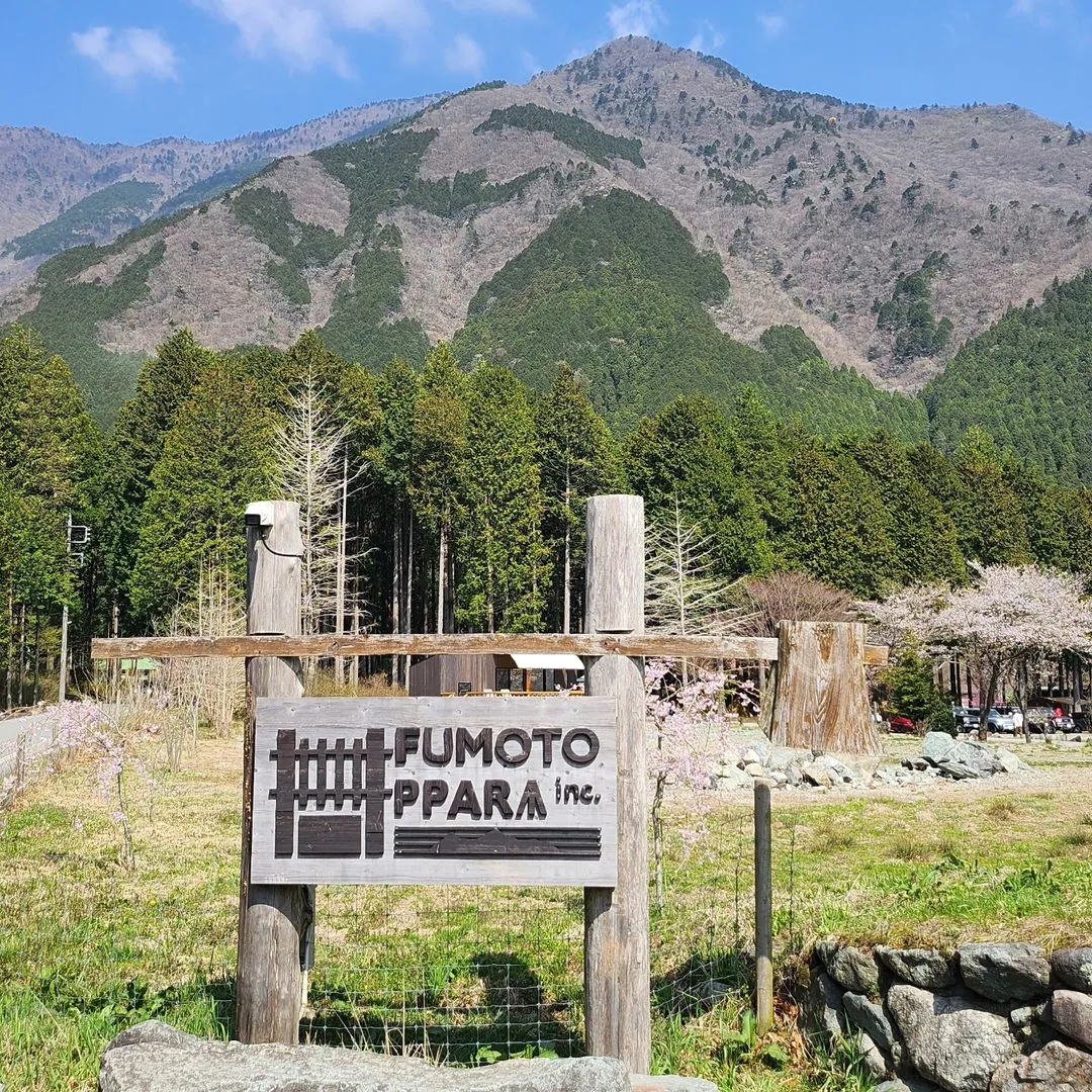 송은이_인스타그램_이미지