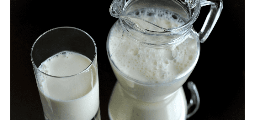 레시틴이 많은 음식 사진3