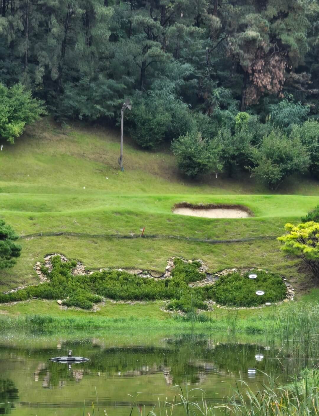 인코스 16번홀 도마뱀조경잔디