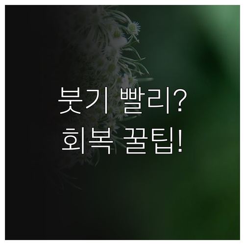 눈밑지방 재배치 붓기 회복 단계별 관..