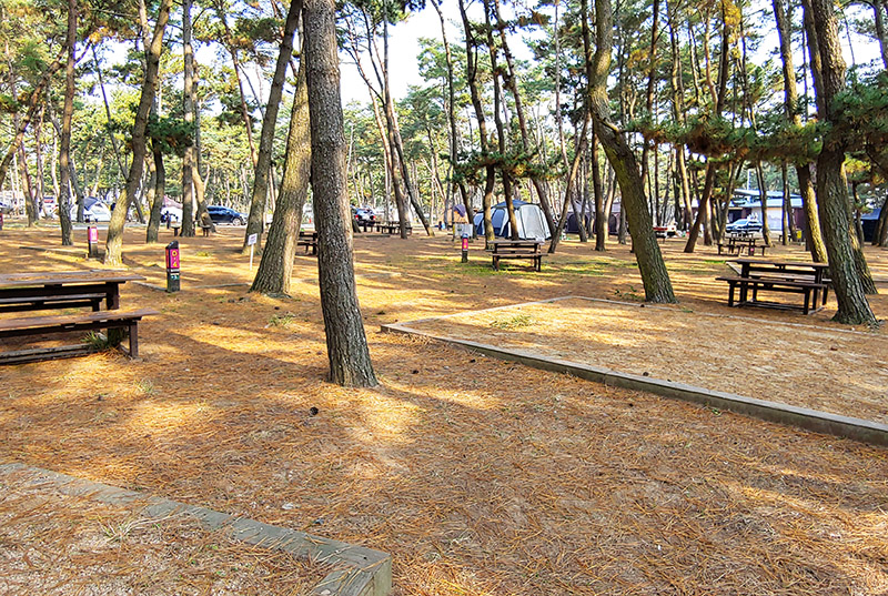 충청남도 태안군 몽산포 자동차야영장