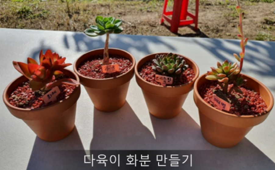 양평_빙송어축제_돔송어패키지