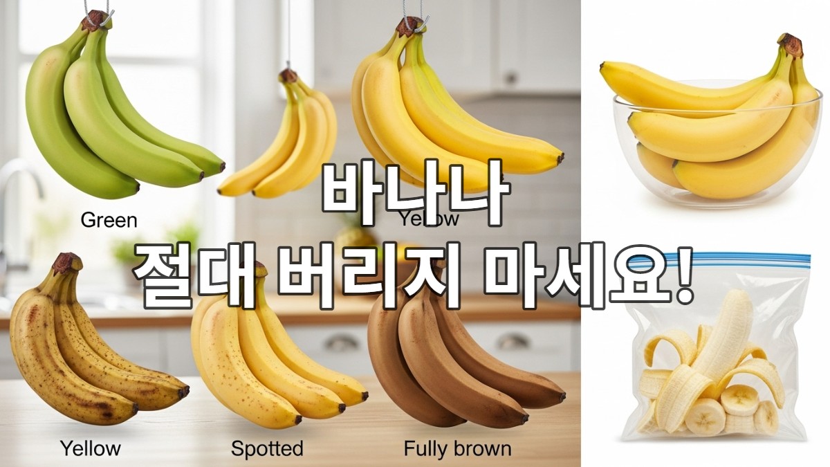 다양한 숙성 단계의 바나나(초록색, 노란색, 갈색 반점, 완전히 갈색)와 각 단계에 맞는 보관 방법이 시각적으로 설명된 이미지.