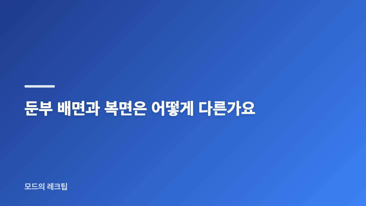엉덩이 주사 그림은 무엇을 보여주나요