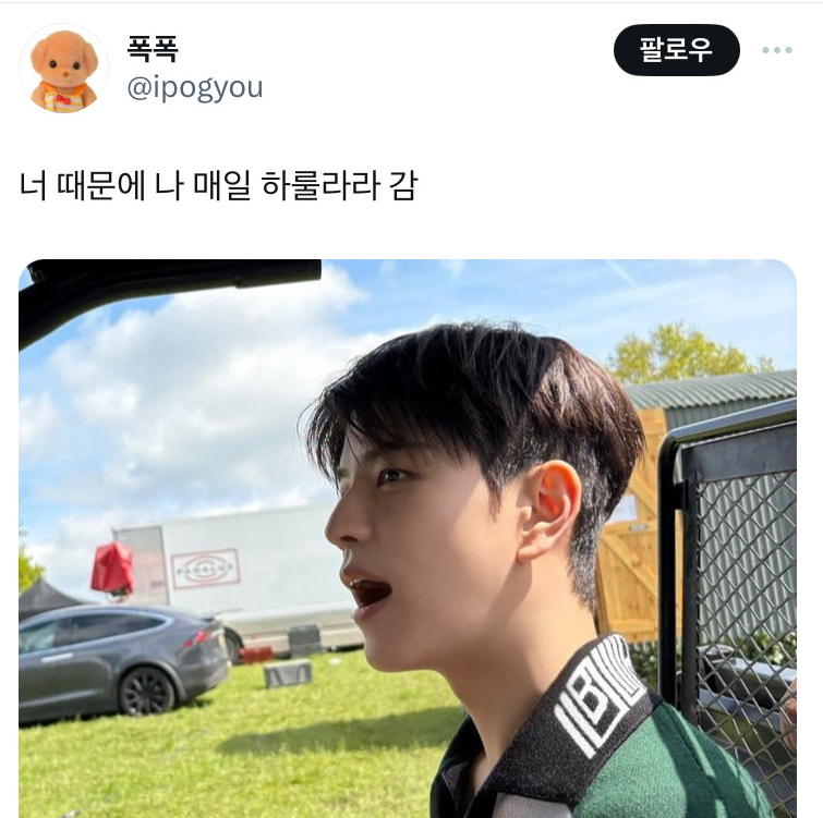 하룰라라 뜻 밈 유행 이유 궁전으로 갈 수도 있어 하룰라라 갔다 활용 예시 3
