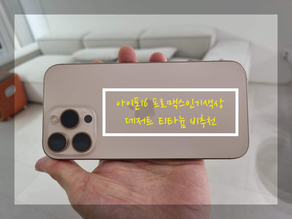 아이폰 프로맥스 인기색상
