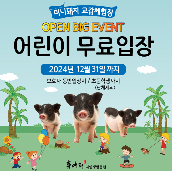 2024년 10월 가을 축제 일정