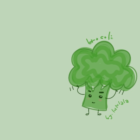 브로콜리 효능과 부작용, 보관방법