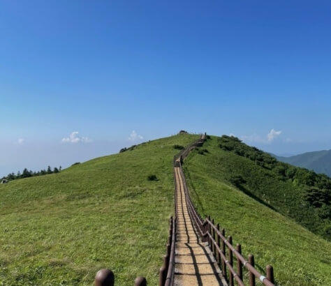 탁트인 소백산 정상