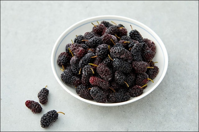 오디 먹는 법 안내