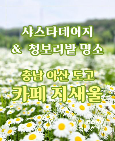 카페-지새울