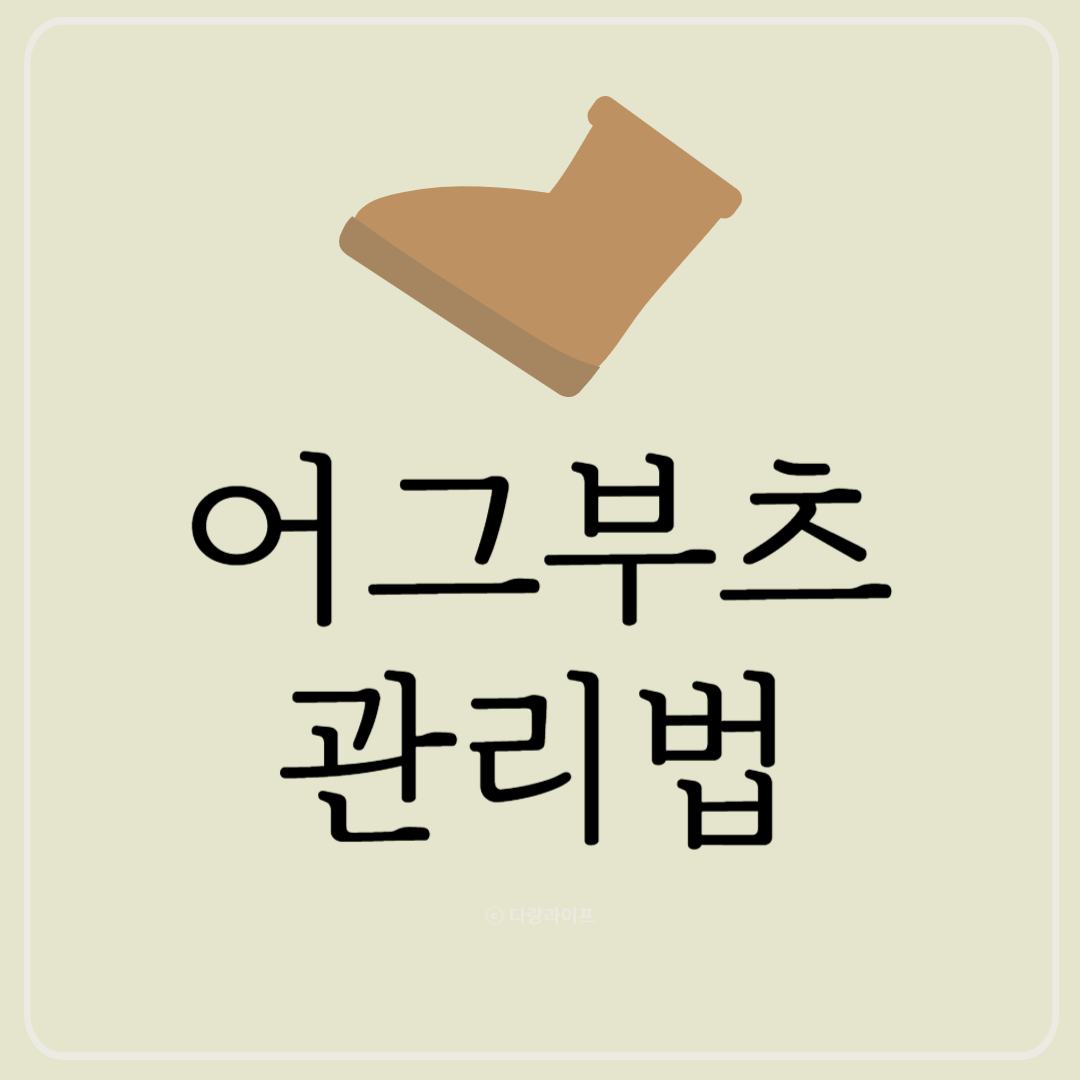 어그 부츠 관리법(방수 스프레이, 죽은 털 관리)