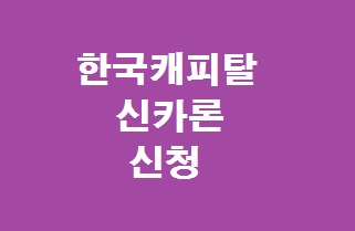 한국캐피탈 신카론
