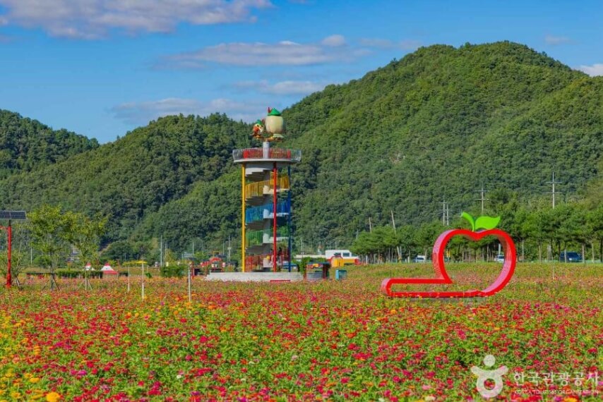 청송 가볼만한곳 베스트 10