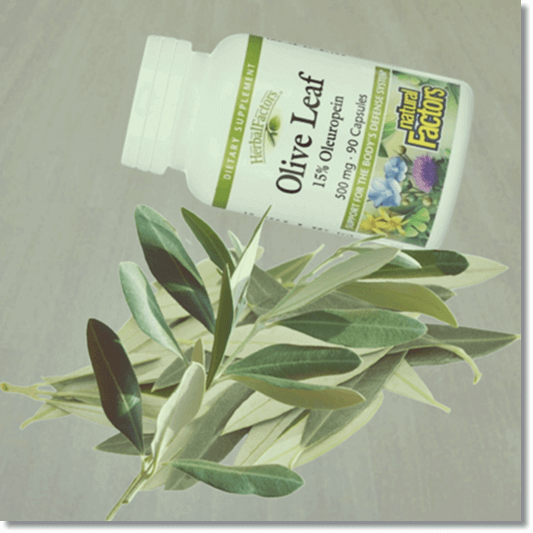 올러유러핀 효능 및 올리브잎 추출물 섭취량과 주의점