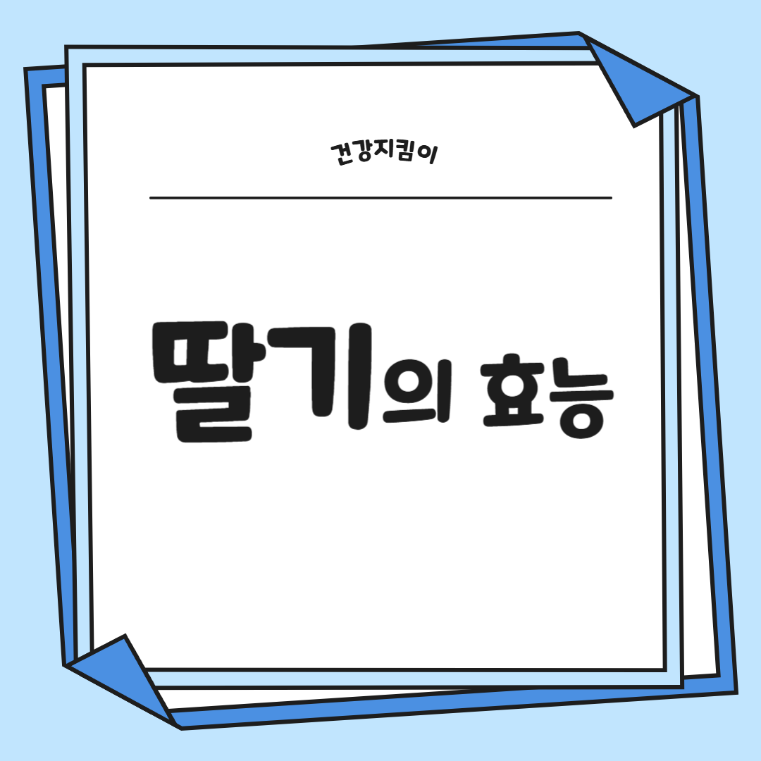 딸기 효능 부작용 칼로리 고르는법