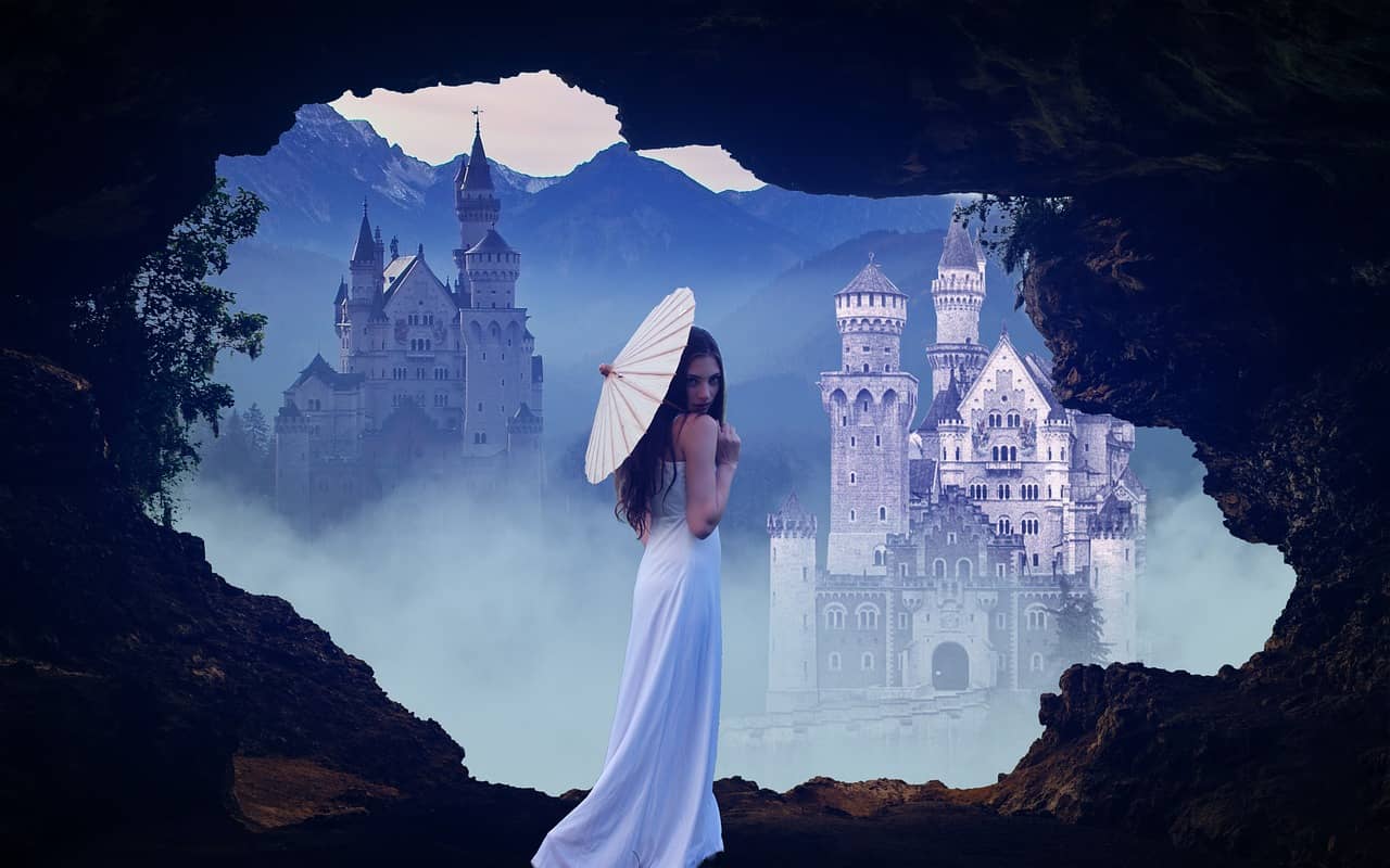 셀럽 전용, 유기농 인증 희귀 슈퍼푸드 소개