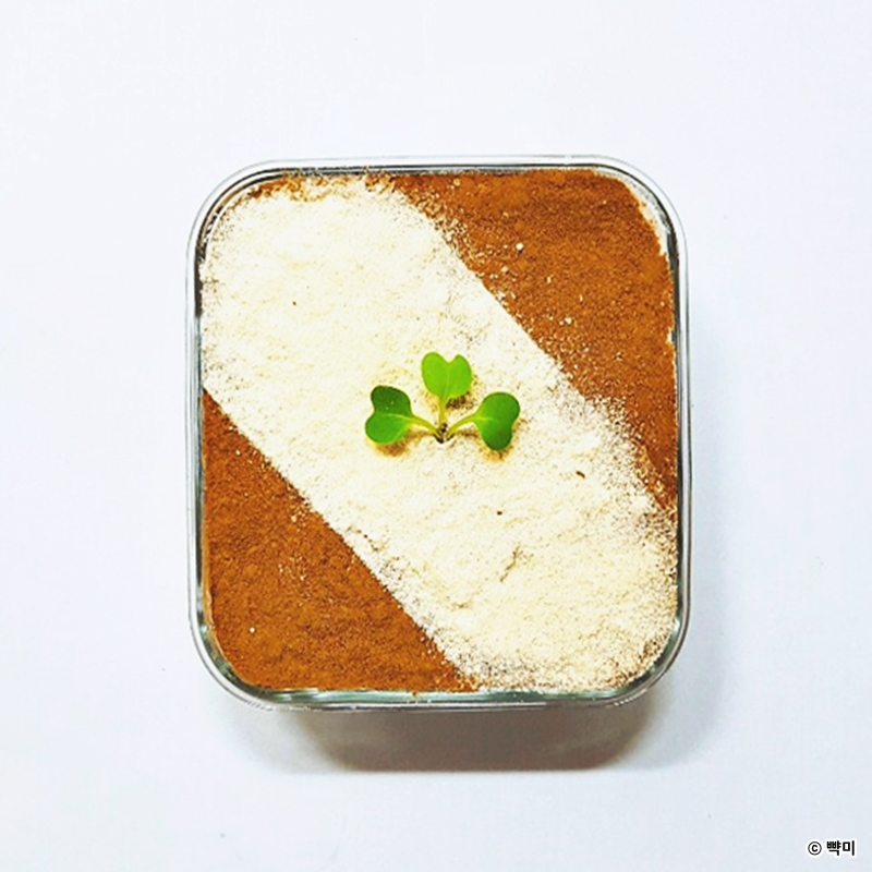 두부-요리-만드는-법-11가지-다이어트-레시피