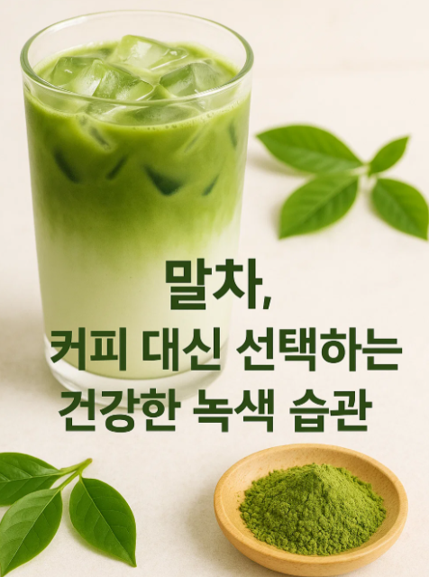 말차,,커피 대신 선택하는 건강한 녹색 습관 -성분- 효능-섭취방법-레시피-주의사항