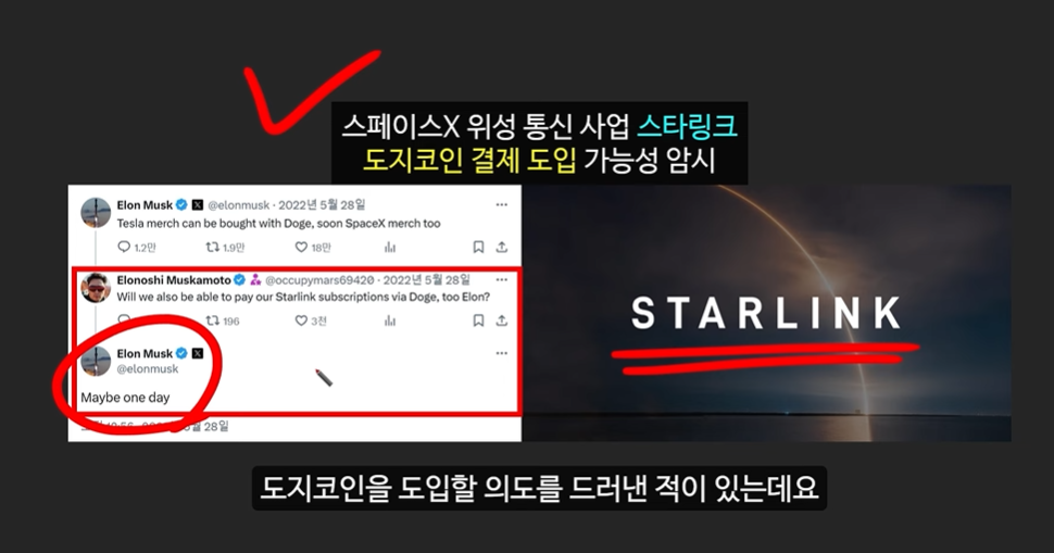 일론 머스크의 충격 발언과 도지코인, 플로키코인, 위프코인, 피넛코인, 프레드 코인의 강력한 상승 가능성 분석
