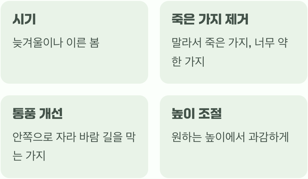 풍성함을 위한 약속, '가지치기'