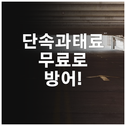 강동구청 주정차 단속 알림 무료 신청..