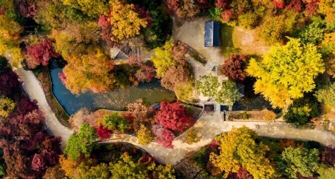 위에서 내려다 본 창덕궁 후원