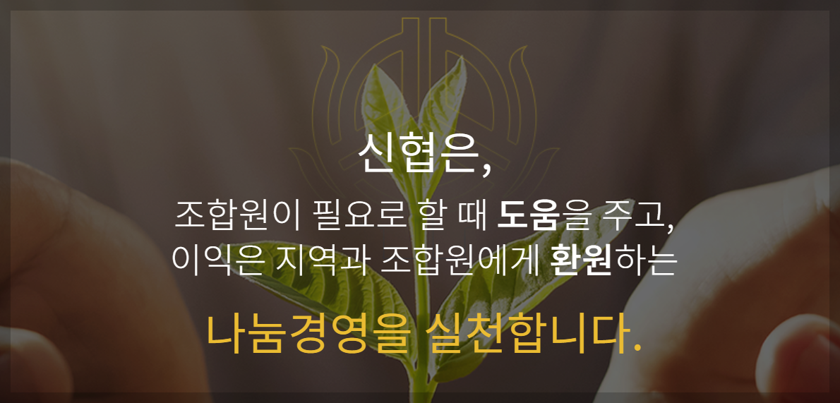 신협 정기예금 금리