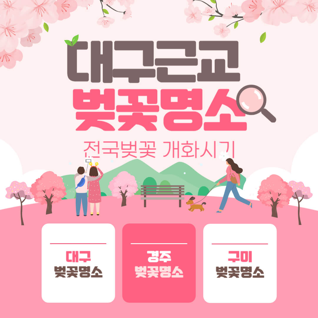 2024 대구 근교 벚꽃 명소, 전국 벚꽃 개화시기