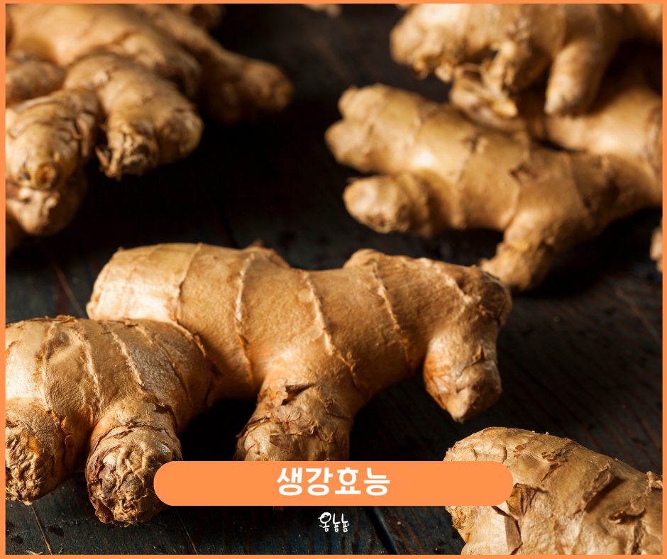 생강효능