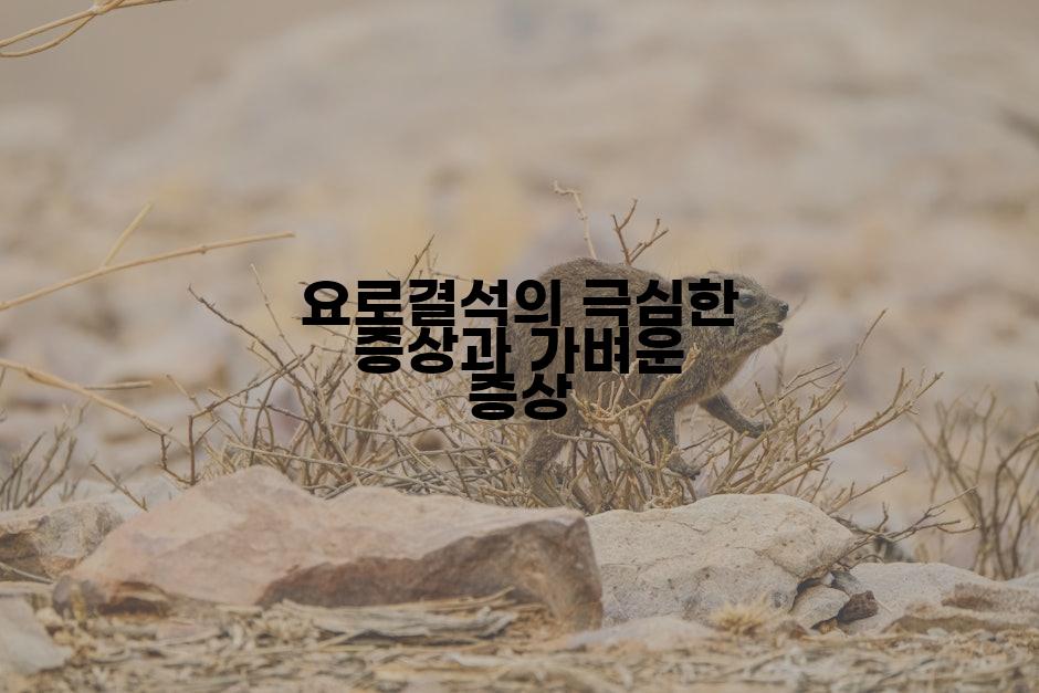 요로결석의 극심한 증상과 가벼운 증상